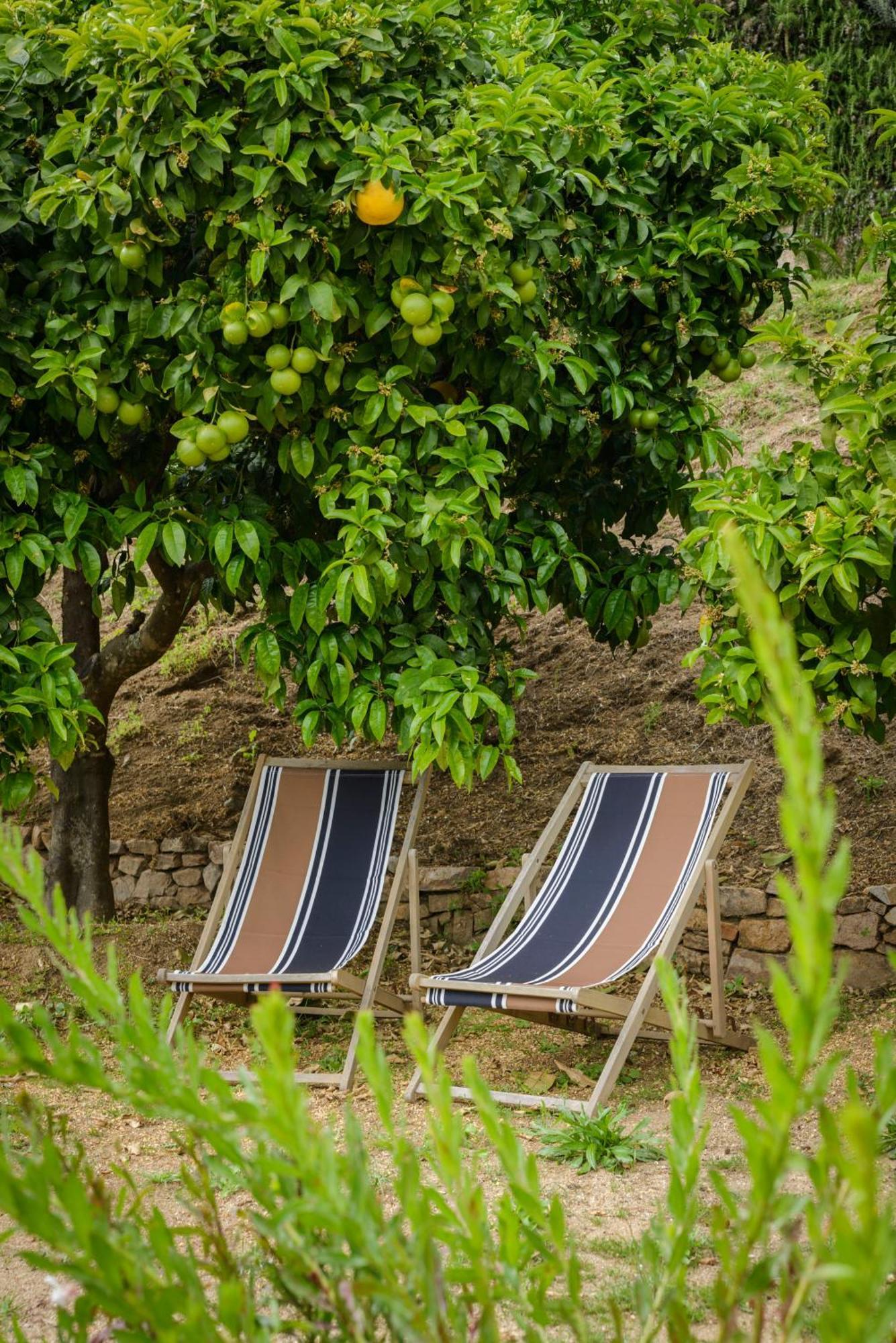 Terre De Maquis, Maison D'Hotes Vue Mer Corse Sari-D'orcino Buitenkant foto